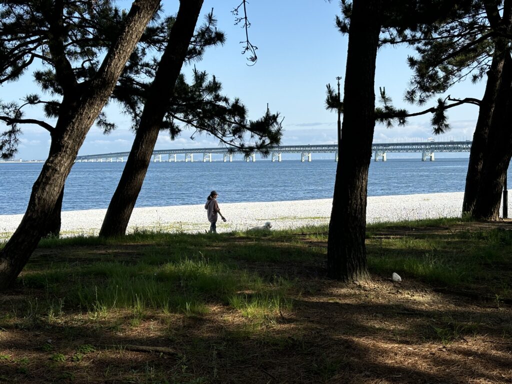 りんくうの浜辺